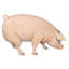 Statue de cochon de ferme divin