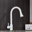Belfry Kitchen Thomasina Kitchen Faucet