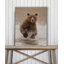 «Bears at Play II», reproduction de photo sur toile tendue-31597517