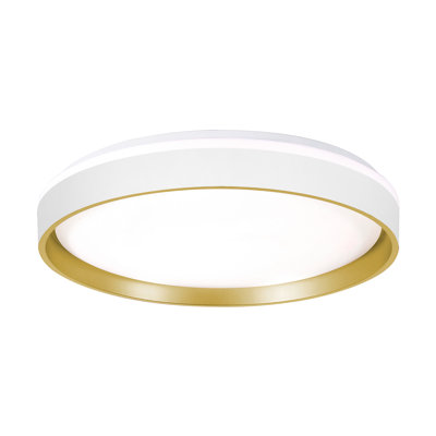 Gunver Acrylic LED Flush Mount