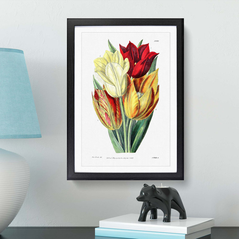 Rough-Stemmed Tulips - Picture Frame Graphic Art Print, Black, 76cm H x 50cm W x 2cm D