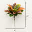 Plante croton artificielle 17"