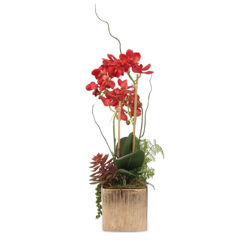 Primrue Silk Orchid Arrangement in Pot | Wayfair