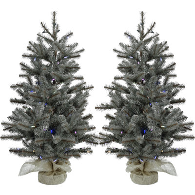 Lighted Pine Christmas Tree