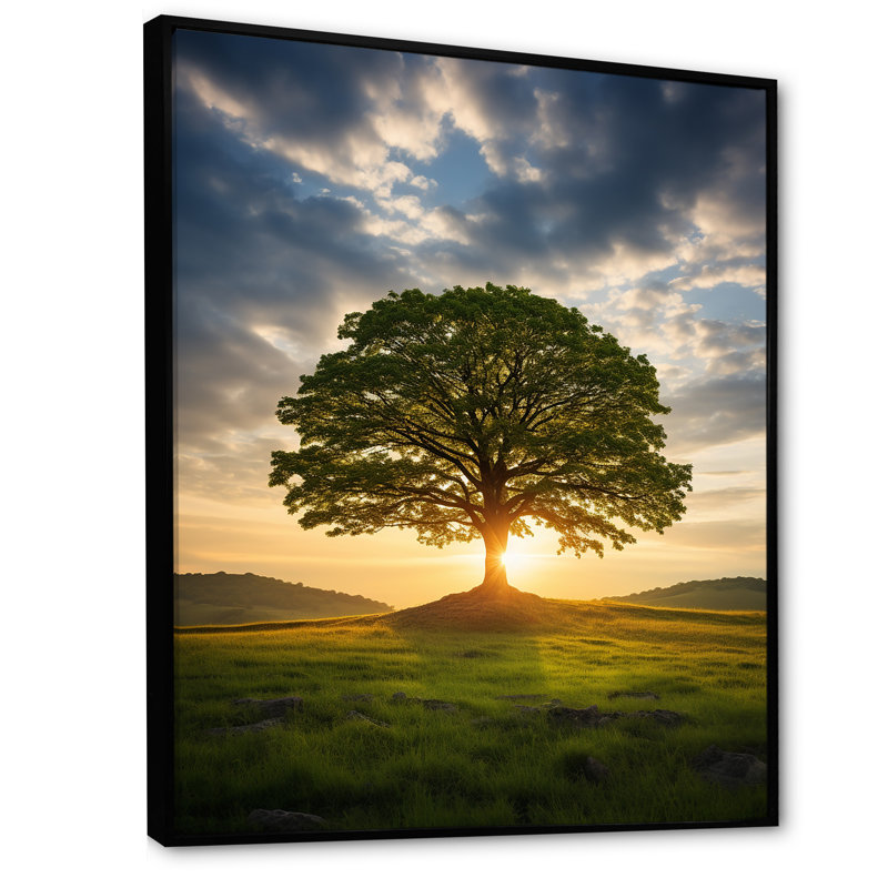«Summer Solitude Tree Glow» sur toile, H 44 po x l 34 po x P 1,5 po, Cadre flottant noir