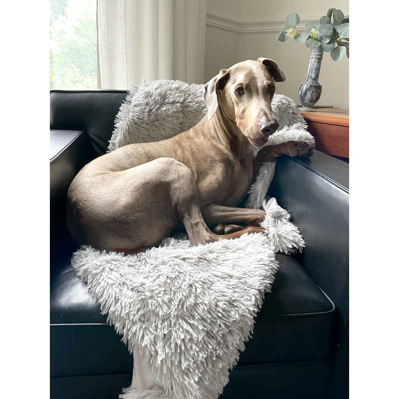 Jeté en fausse fourrure à poils longs Laurel & Mayfair - 50 x 60 po, Gris