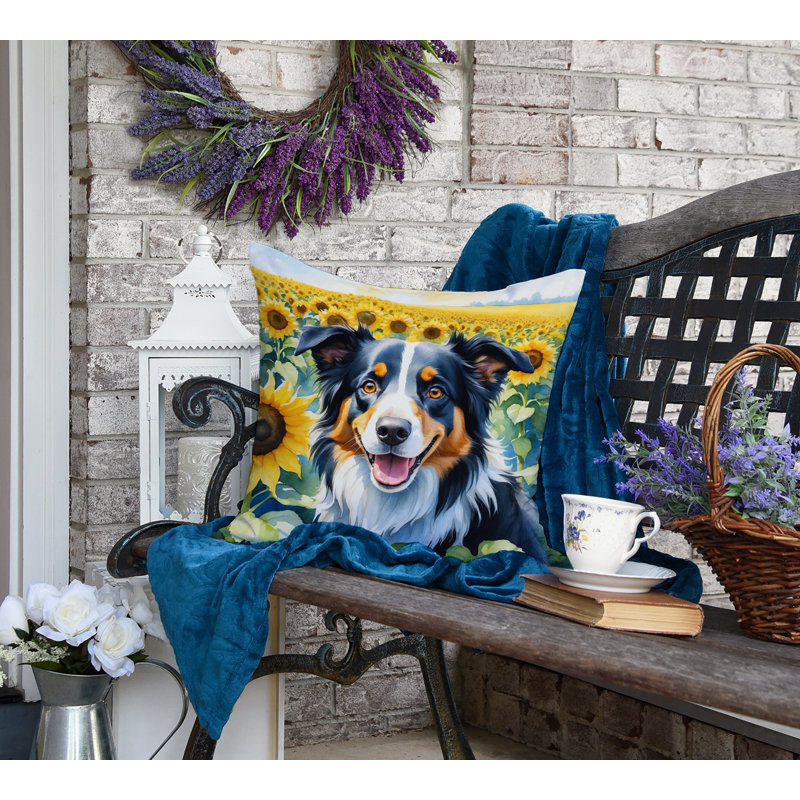 Other/No Pattern Outdoor Throw Pillow, 18" H x 18" W