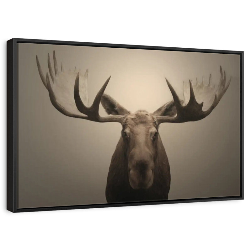 Portrait d'orignal Brampt, H 9 po x l 13 po