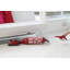 Sebo Upright Vacuum