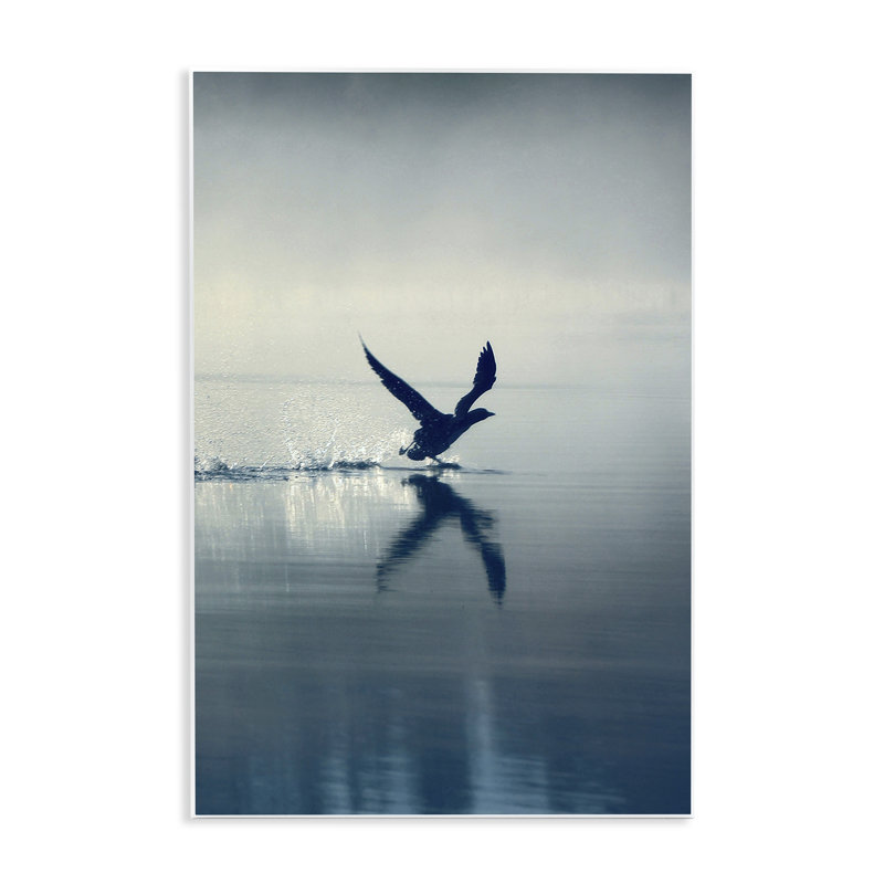  "Splashing Bird on Water", art mural par Incado, H 15 po x l 10 po