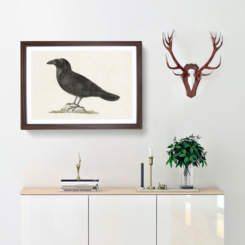Common Raven by Von Wright - Picture Frame Painting Print, 48cm H x 65cm W x 2cm D, Walnut Framed