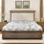 Base de lit Deines style Mid-Century en bois massif avec tête de lit en chenille-1063676829