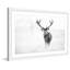 Elk Stare par Marmont Hill - reproduction de cadre photo-1687219486-1686384186