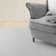Freshold Machine Woven Polyester Area Rug in Gray