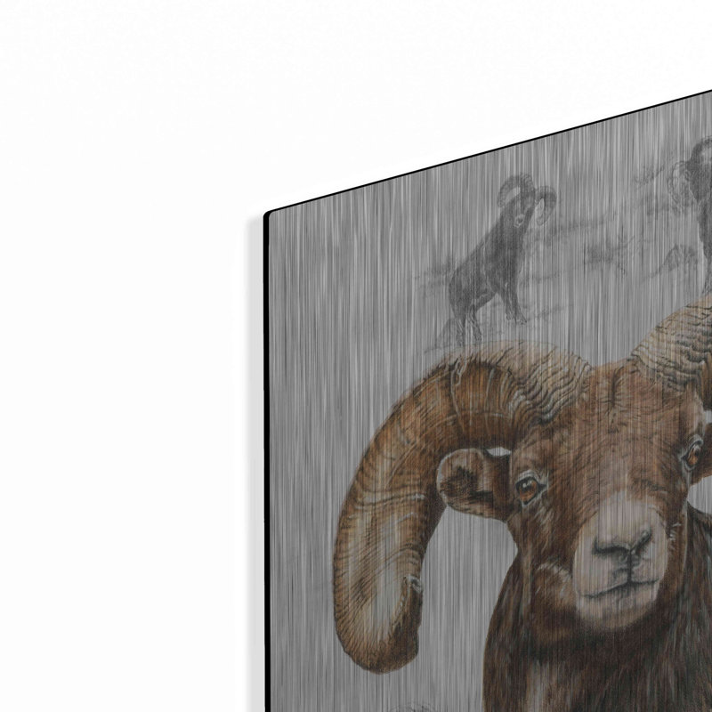 «Big Horn Sheep» par Barbara Keith, art mural en métal, 12 po x 16 po, H 24 po x l 16 po