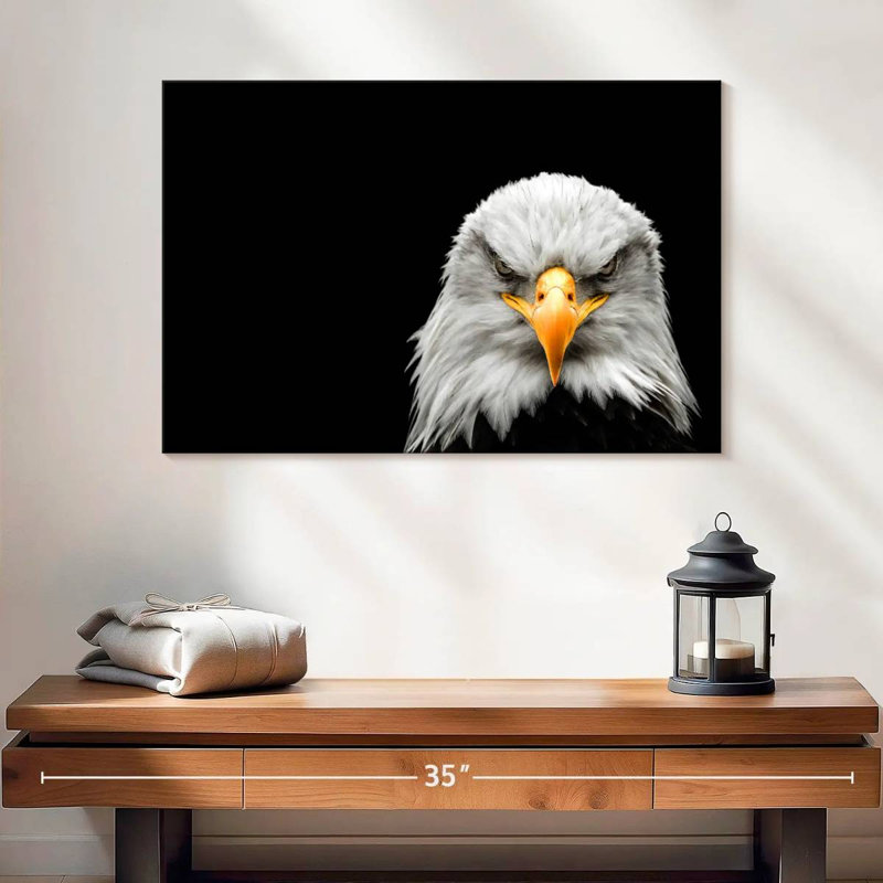 Brampt Angry Bald Eagle, 16" H x 24" W
