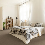 23.5'' L Plush Cut Peel & Stick Polyester Carpet Tile