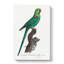 A Rose-Ringed Parakeet by F. Levaillant - Wrapped Canvas-55368045