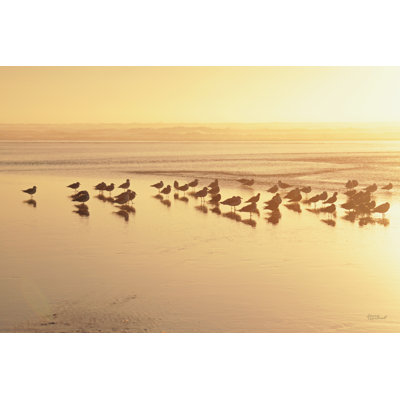 Kalaloch Sunset II by Laura Marshall - Wrapped Canvas Print