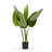 Artificial Bird Of Paradise Tree In Plastic Nursery Pot-1353042474