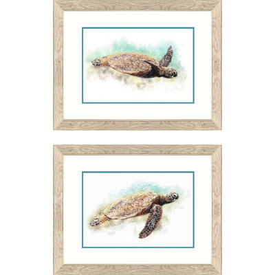 Tortue hawaïenne, art encadré