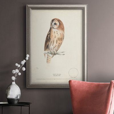" Tawny Owl "