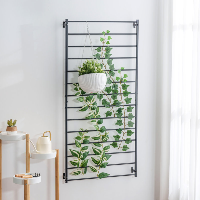 Zohet 127.5Cm H x 61.4Cm W Metal Lattice Panel Trellis