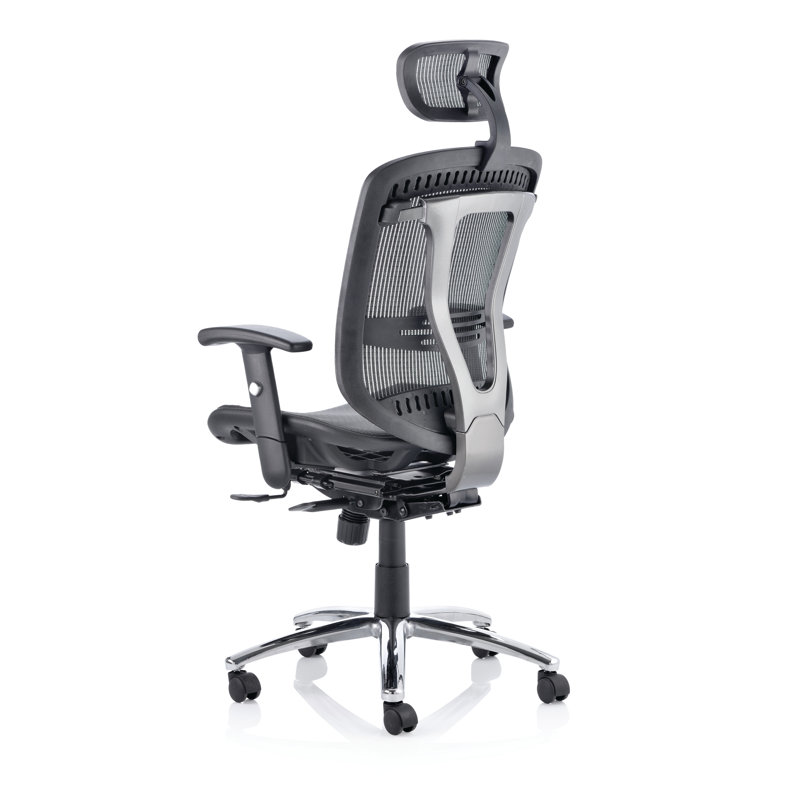 Oasis Mesh Office Chair with Headrest