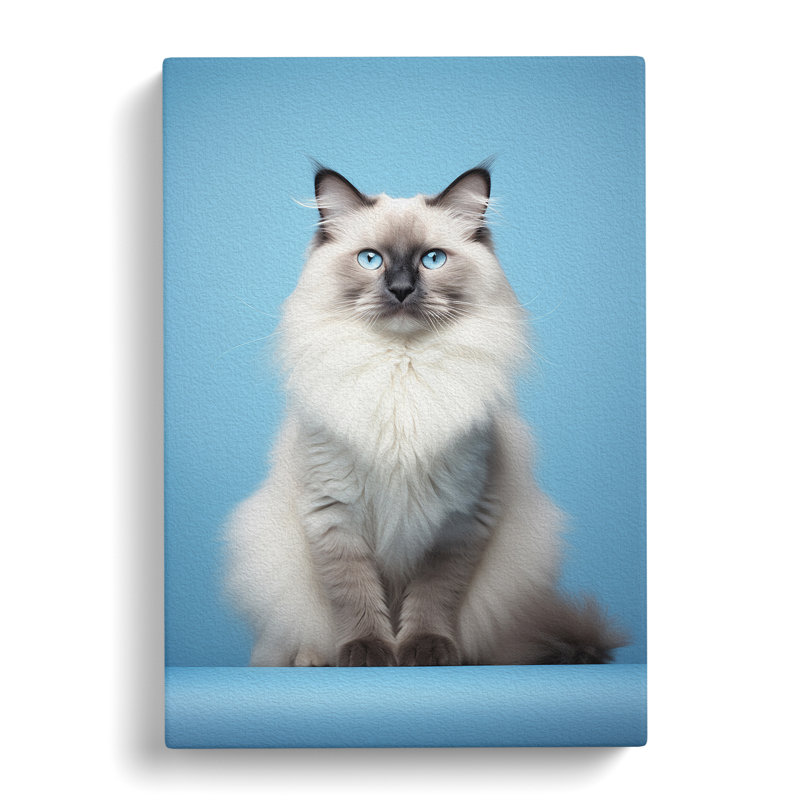 Ragdoll Cat Minimalism No.3 - Wrapped Canvas