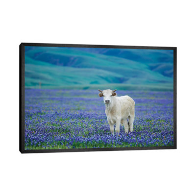 Cows in Lupine IV 1 Piece Wall Art on Canvas