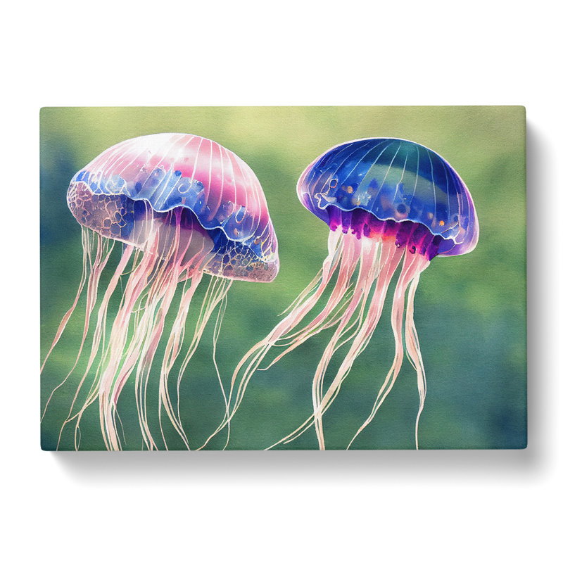 Watercolour Jellyfish - Wrapped Canvas, 35cm H x 50cm W x 3cm D