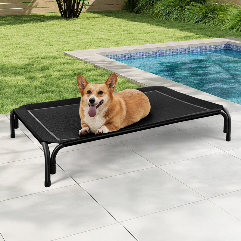 Lit pour chien surélevé intérieur / extérieur avec pieds antidérapants, H 7,9 po x l 35,4 po x P 25,6 po, Noir