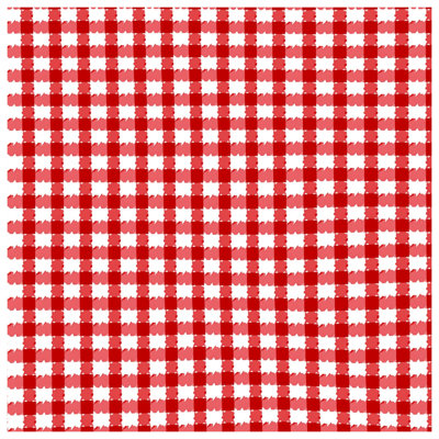 Red White Gingham Comforter