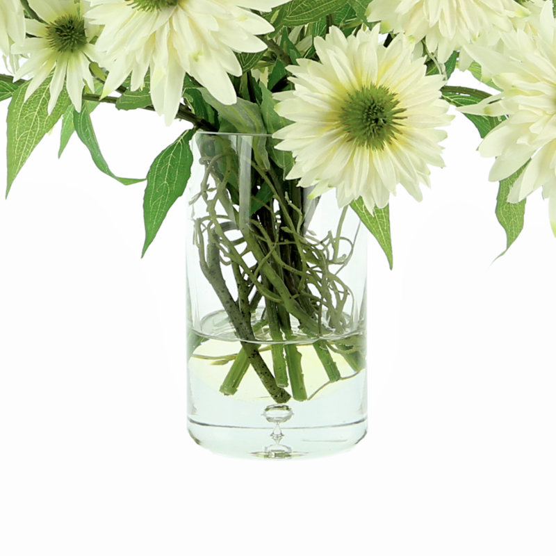 White Rudbeckia In Glass Vase