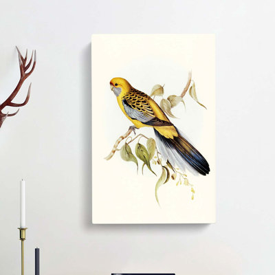 Yellow-Rumped Parakeets by Elizabeth Gould - Wrapped Canvas