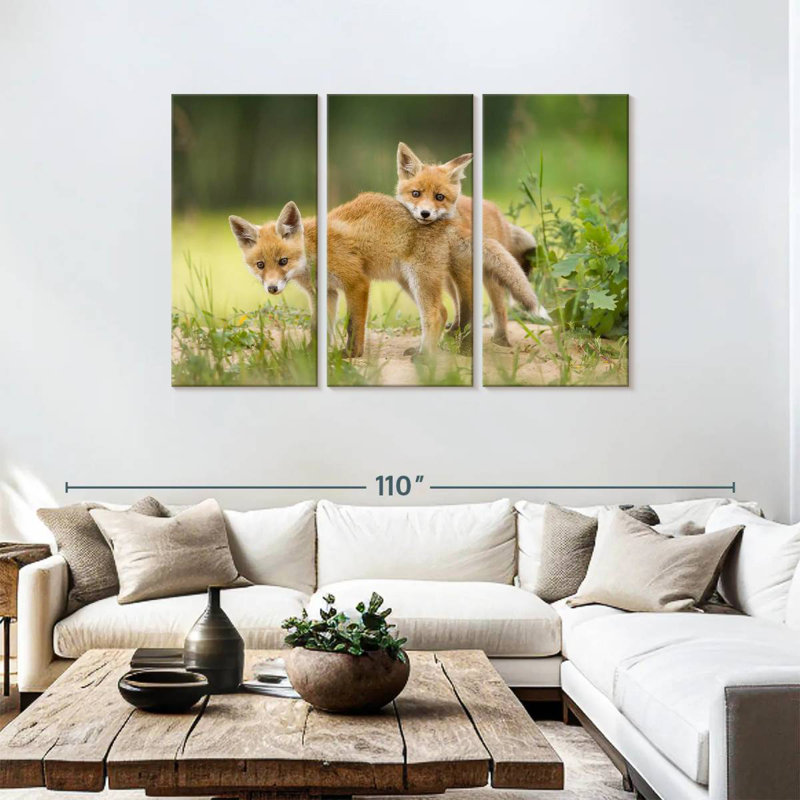 Brampt Fox Kits, 48" H x 74" W