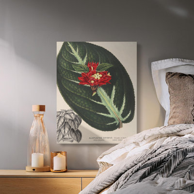 Herrin Wrapped Canvas Print Set