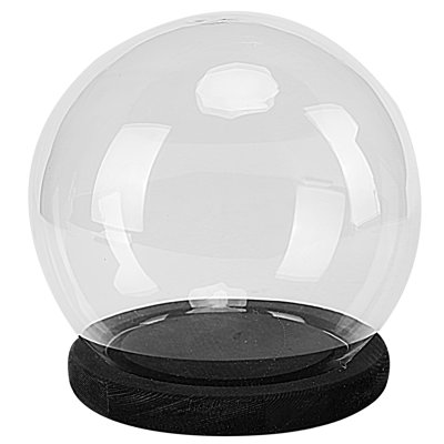 Terrarium Cloche with Wood Base