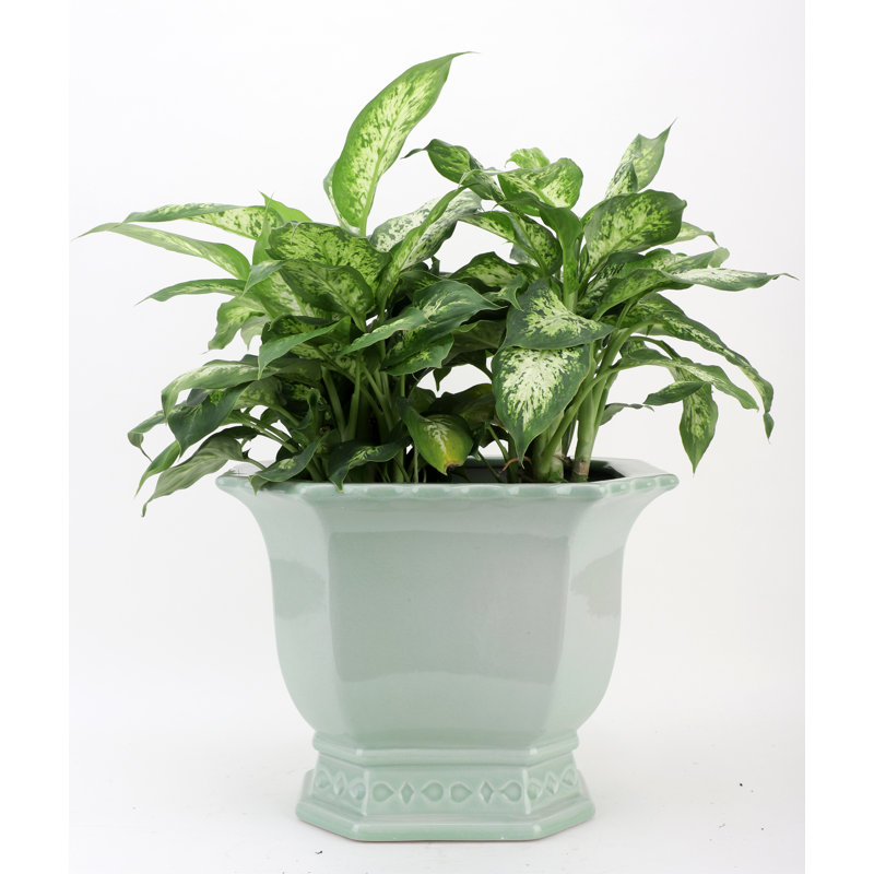 Handmade Ceramic Basin, 10.5" H x 13" W x 11" D, Green