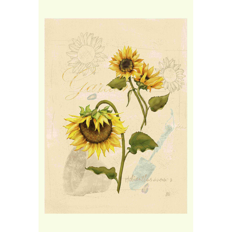 Tournesol romantique I 2855131, H 30 po x l 20 po