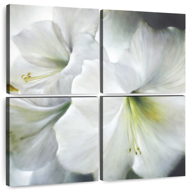 Harnek White Amaryllis II, 32" H x 32" W