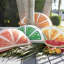 Palencia Novelty Indoor/Outdoor Pillow Cover & Insert-57562948