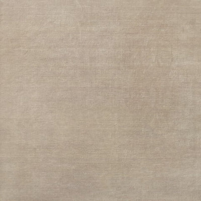 Indoor Rug