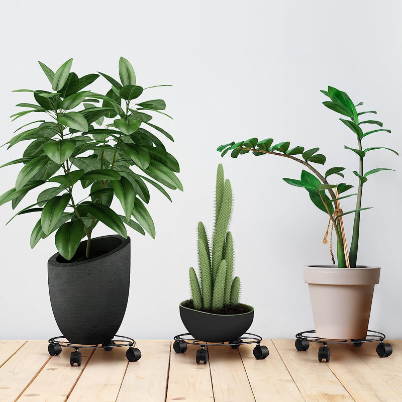 Support pour plante Ballerini