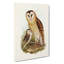 Grass-Owls by Elizabeth Gould - Wrapped Canvas-55366142