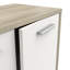 Birkley 2 - Door Standard Accent Cabinet