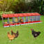 Boîtes à poulets à 8 compartiments avec œufs-1433434807