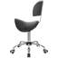 Backed Lab Stool Active Stool-1806924978