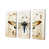 Toile tendue