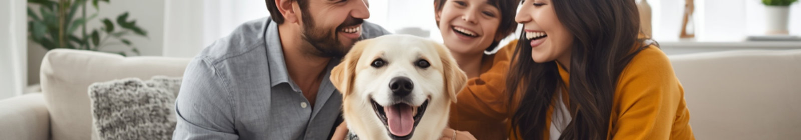 Club Nine Pets